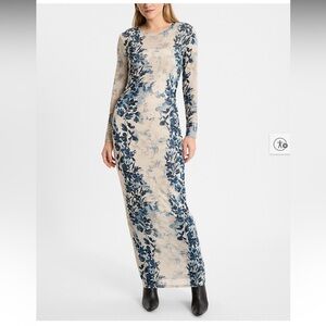 Express Blue Floral Mesh Dress